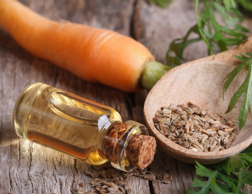 Carrot seed oil application For hair and skin