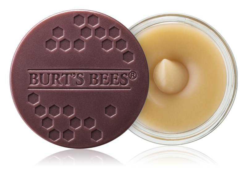 Burt’s Bees Lip Scrub lip care