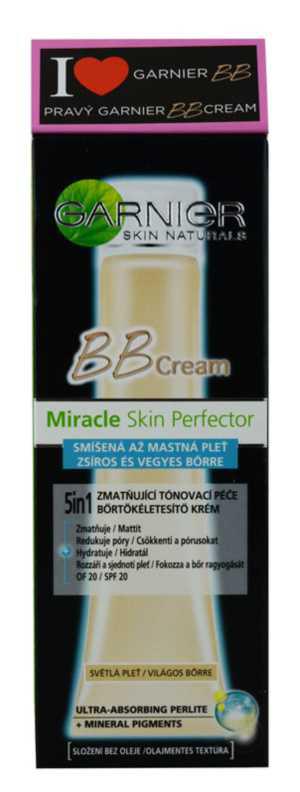 Garnier Miracle Skin Perfector oily skin care