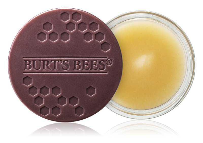 Burt’s Bees Lip Treatment