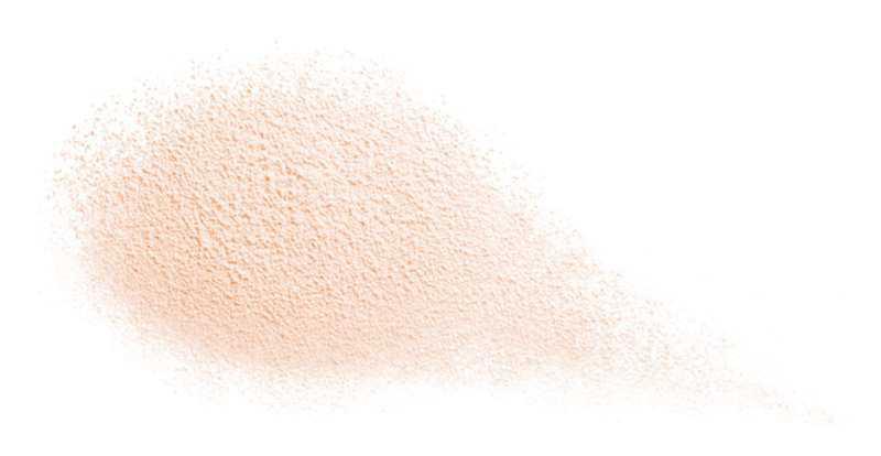 Shiseido Future Solution LX Total Radiance Loose Powder makeup