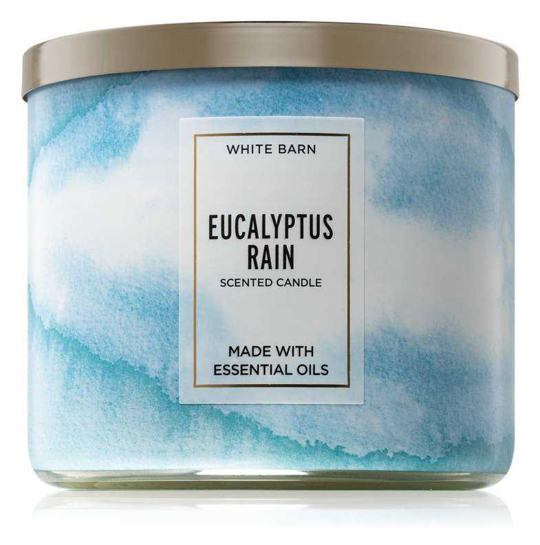 Bath & Body Works Eucalyptus Rain candles