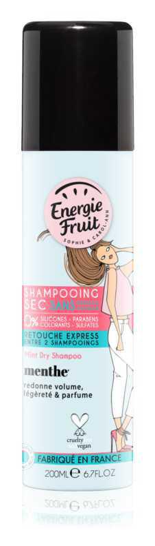 Energie Fruit Mint hair care