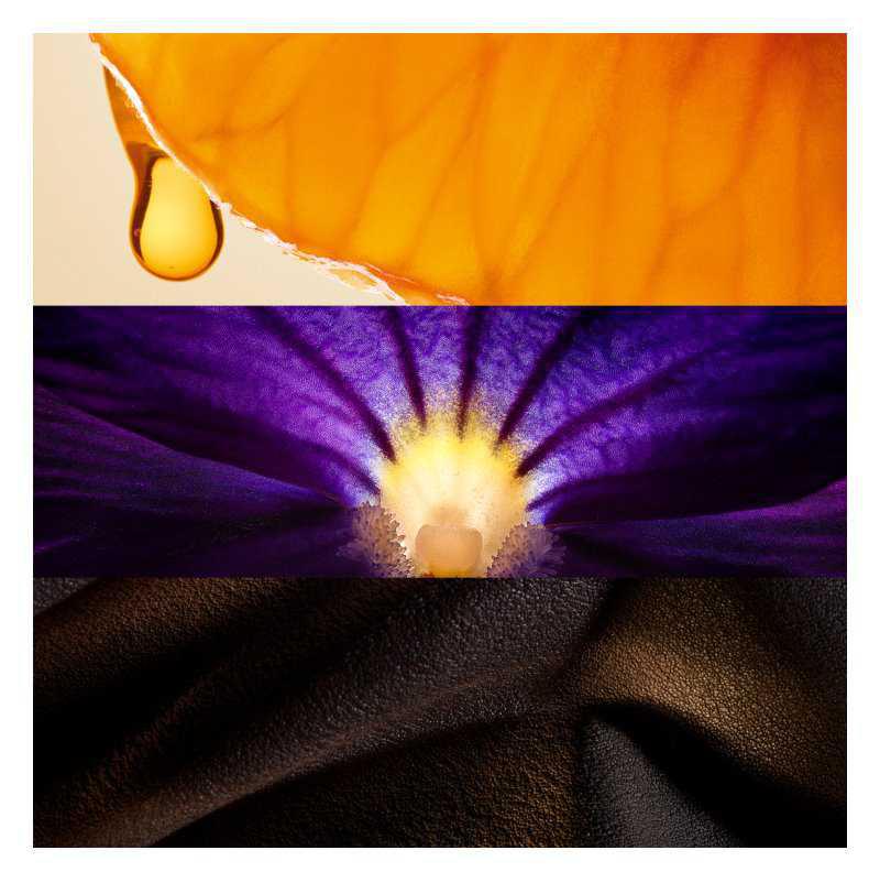 Jil Sander Simply violet perfumes
