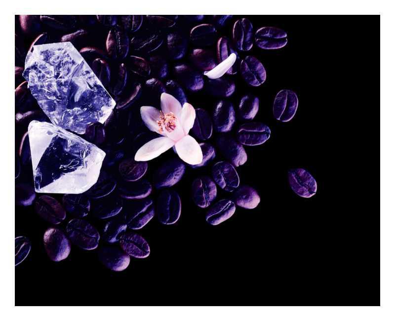 Yves Saint Laurent Black Opium Nuit Blanche women's perfumes