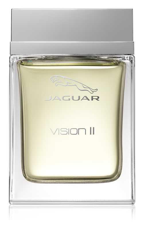 Jaguar Vision II