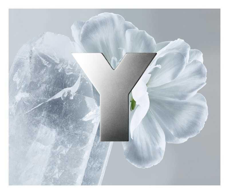 Yves Saint Laurent Y woody perfumes