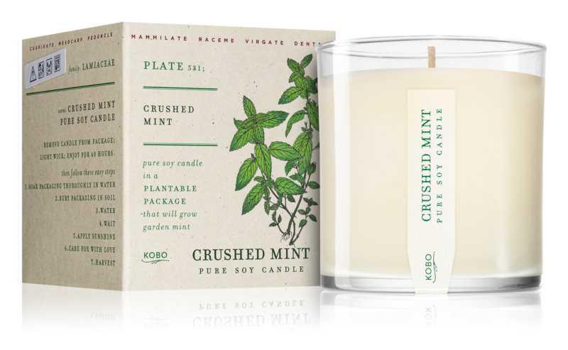 KOBO Plant The Box Crushed Mint candles