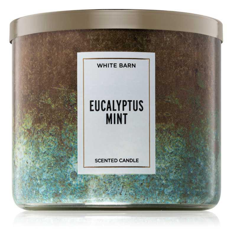 Bath & Body Works Eucalyptus Mint candles