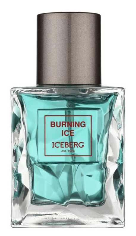 Iceberg Burning Ice men
