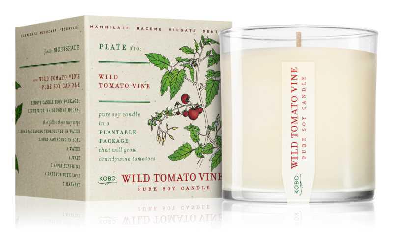 KOBO Plant The Box Wild Tomato Vine candles