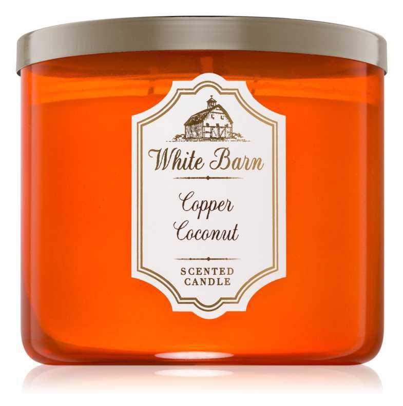 Bath & Body Works Copper Coconut candles