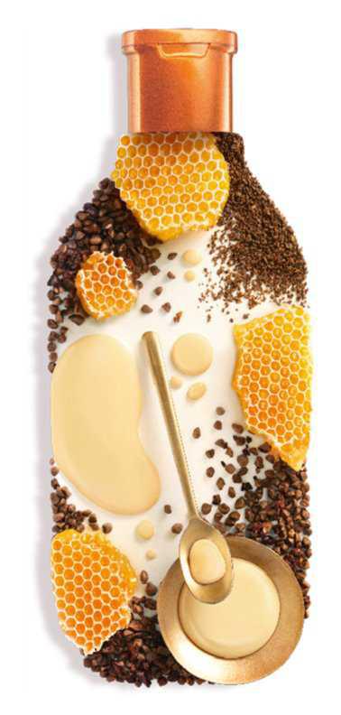 Garnier Botanic Therapy Honey hair