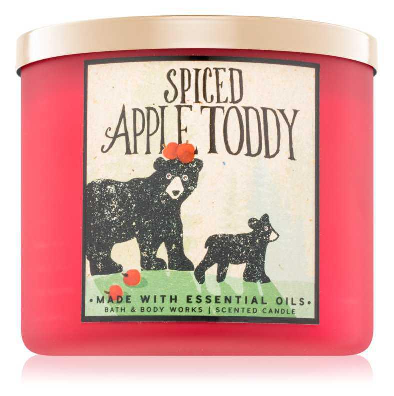Bath & Body Works Spiced Apple Toddy candles
