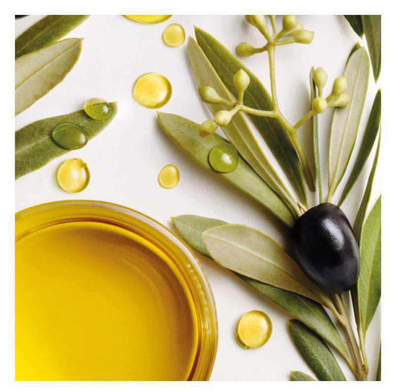 Garnier Botanic Therapy Olive hair