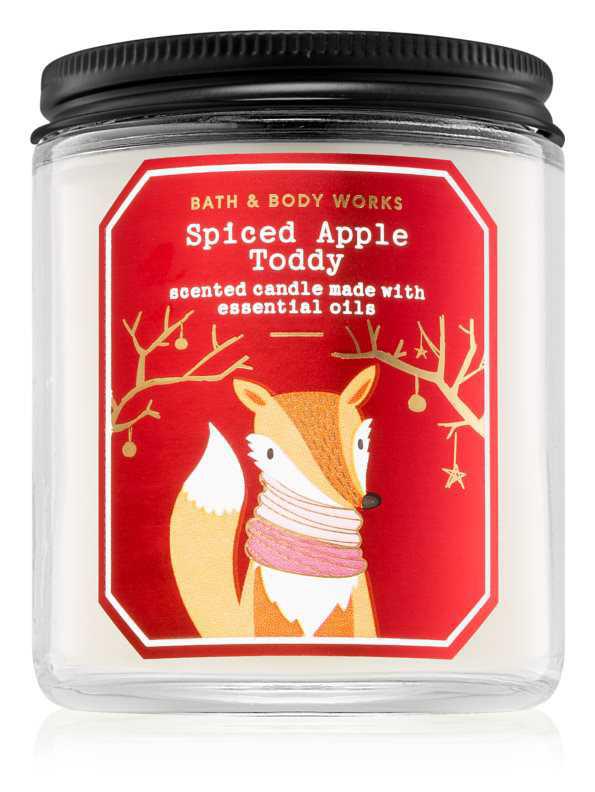 Bath & Body Works Spiced Apple Toddy