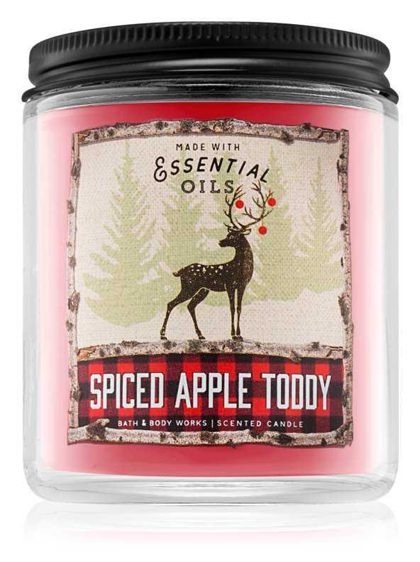 Bath & Body Works Spiced Apple Toddy