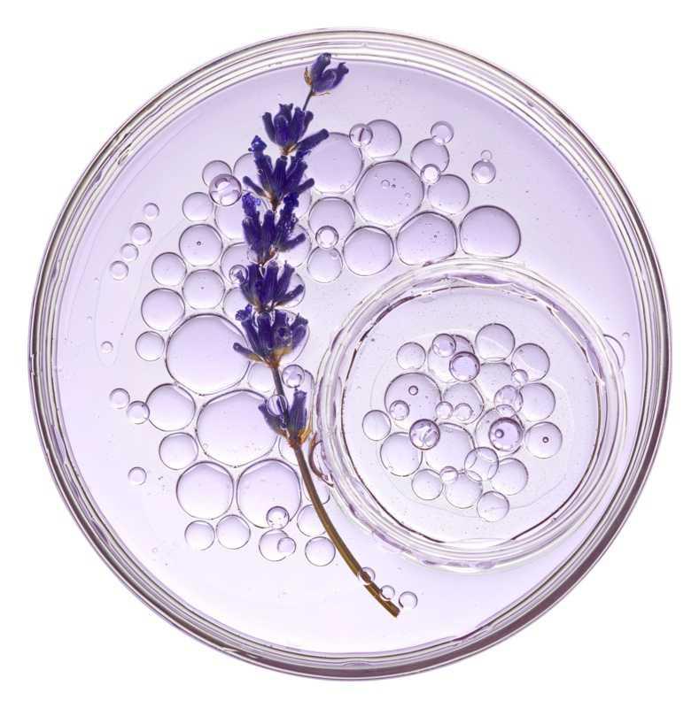 L’Oréal Paris Botanicals Lavender hair conditioners