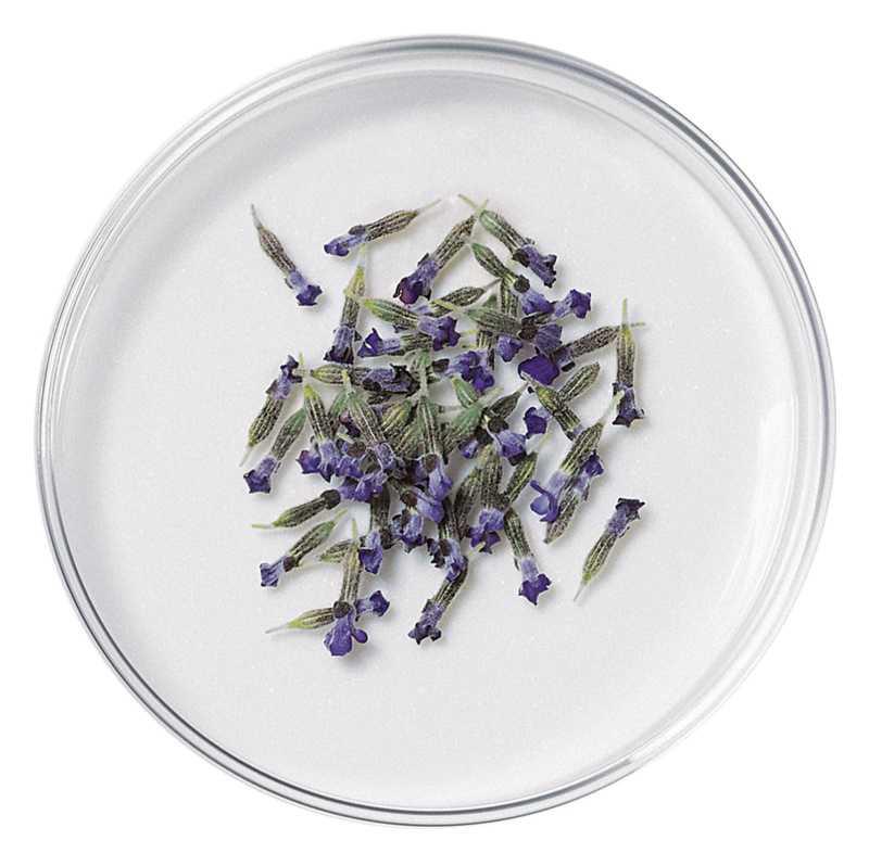 L’Oréal Paris Botanicals Lavender hair