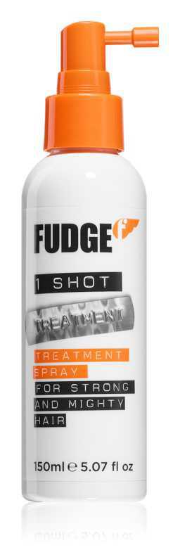 Fudge Treatment hair