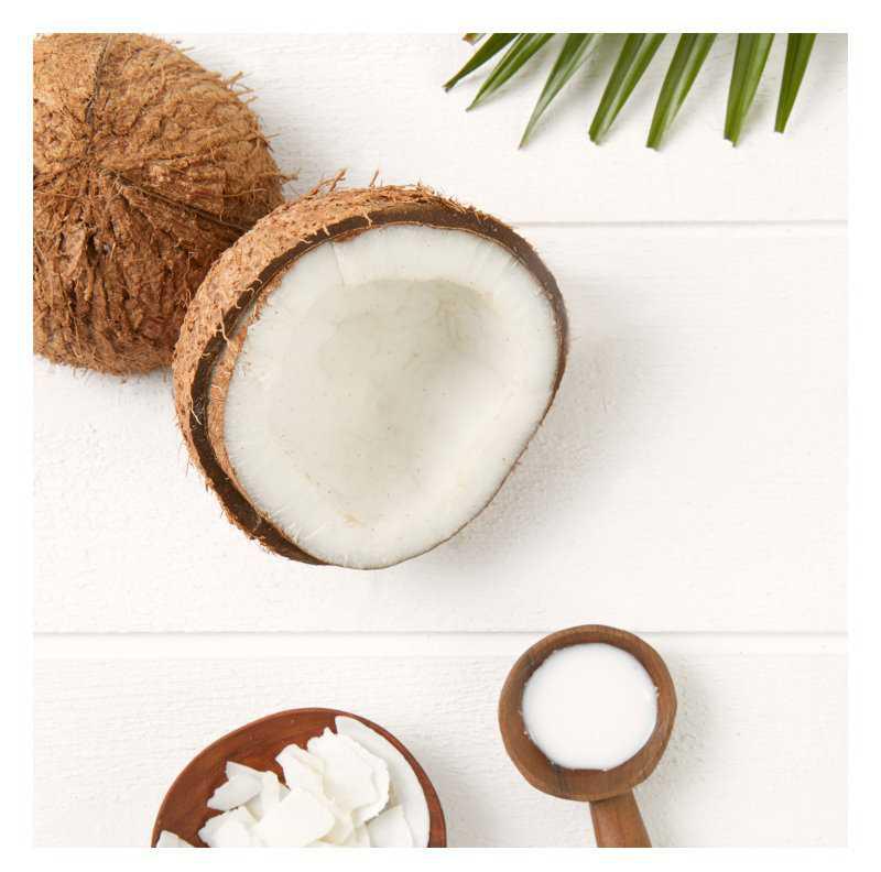 Garnier Botanic Therapy Coco Milk & Macadamia hair conditioners