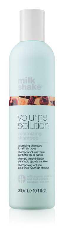 Milk Shake Volume Solution dry hair