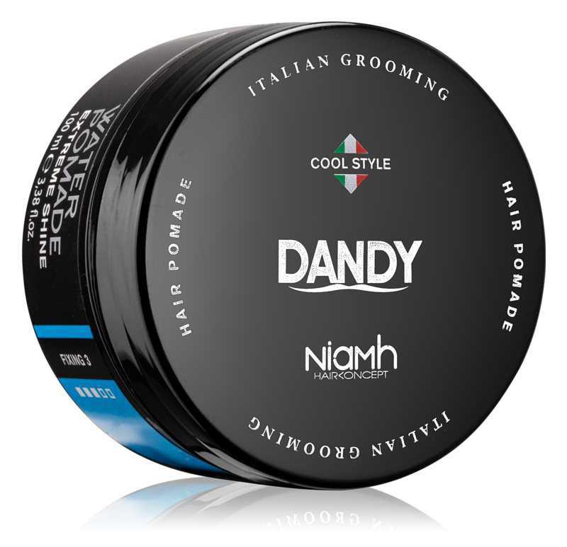 DANDY Water Pomade Extreme Shine