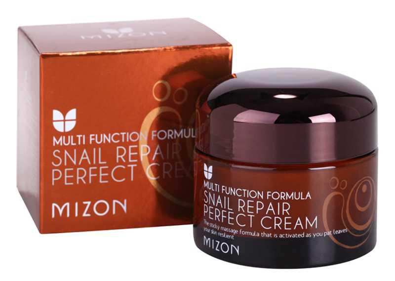 Mizon Multi Function Formula day creams