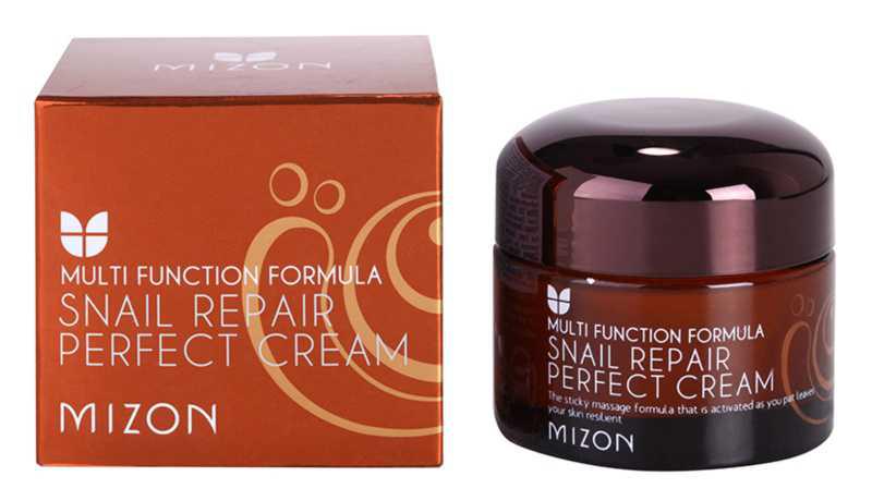 Mizon Multi Function Formula day creams