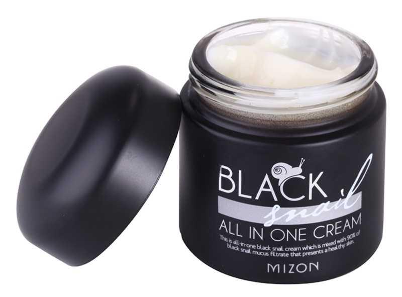 Mizon Black Snail All in One korean cosmetics