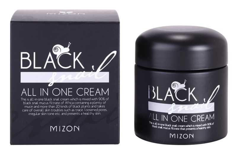 Mizon Black Snail All in One korean cosmetics