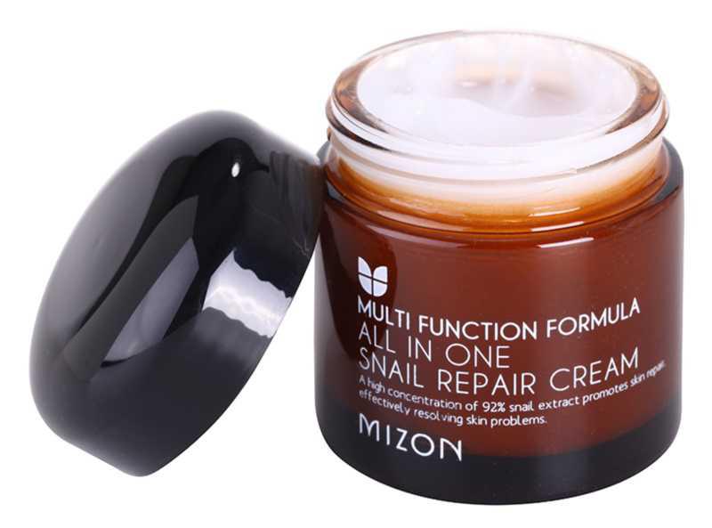 Mizon Multi Function Formula problematic skin