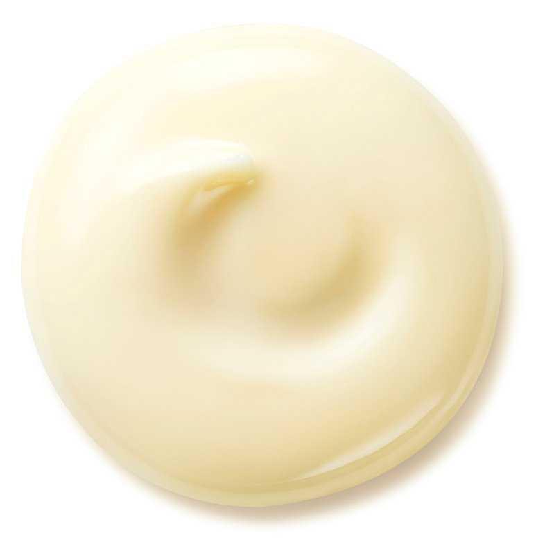 Shiseido Benefiance Wrinkle Smoothing Day Cream facial skin care